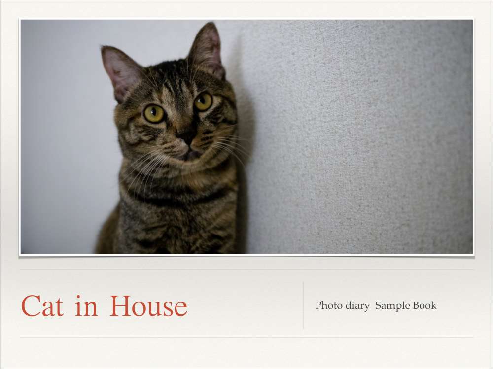 Cat in House ダウンロード販売、商用利用申請